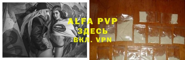 амф Великий Новгород