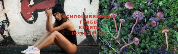 стаф Орск