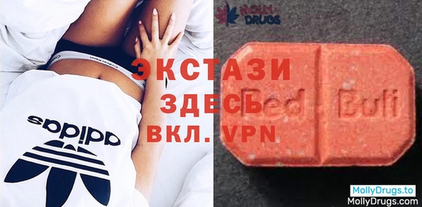 индика Богородицк