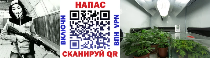 Бошки марихуана конопля  Киренск 